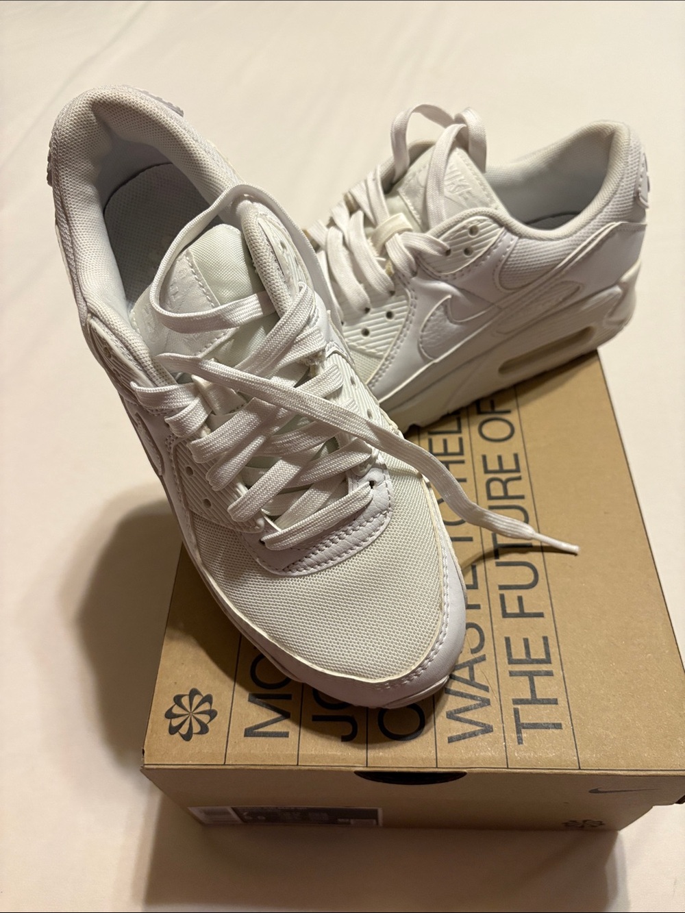 Nike White Women's Low-Top Sneakers